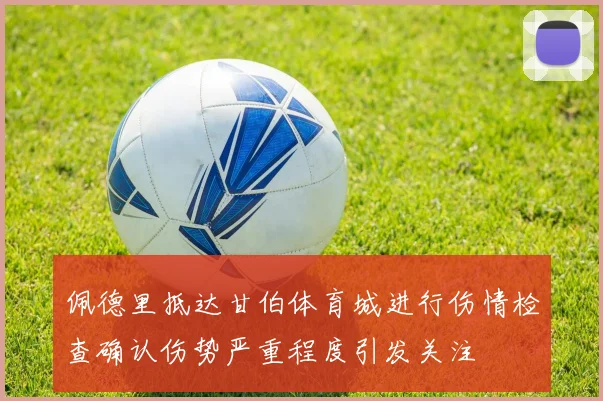 佩德里抵达甘伯体育城进行伤情检查确认伤势严重程度引发关注