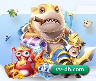 DB体育的故事