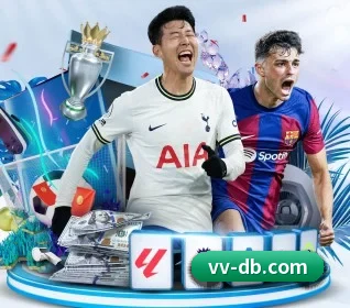 DB体育 APP 界面